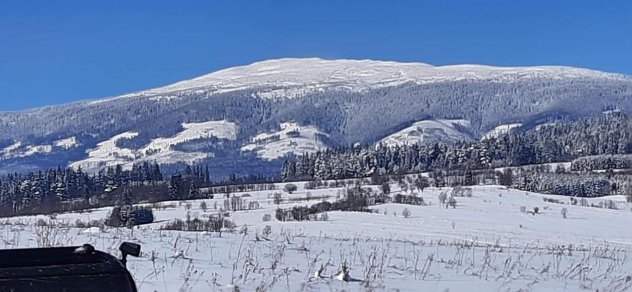 Vila Orawski Kat Zubrzyca Dolna Exteriér fotografie